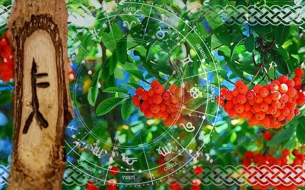 Кельтський гороскоп на 23 липня 2025 року: Левам — час рішень, Рибам — гнучкість