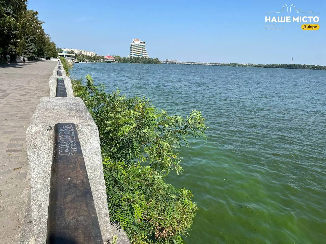 Річка Дніпро вже «зацвіла»: чому небезпечно купатися у зеленій воді