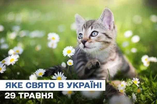 Яке завтра, 29 травня, свято — все про цей день, яке церковне свято, що не можна робити