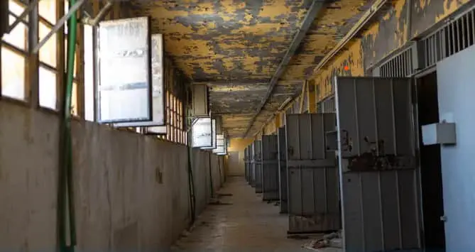 У Німеччині затримали сирійця, що міг бути учасником тортур у в'язницях Асада