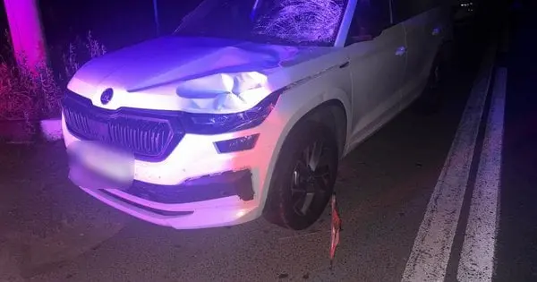 Поблизу Луцька водій Škoda збив на смерть 54-річного чоловіка