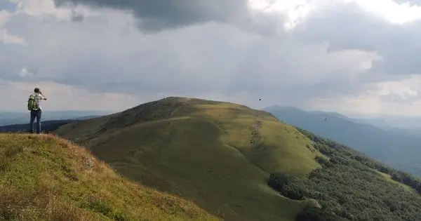 Для майбутньої ВЕС на межі Закарпаття та Львівщини виділили 200 га