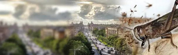 «Бігають цілий день з бубнами»: у Запоріжжі рятуються як можуть від небезпечної комахи
