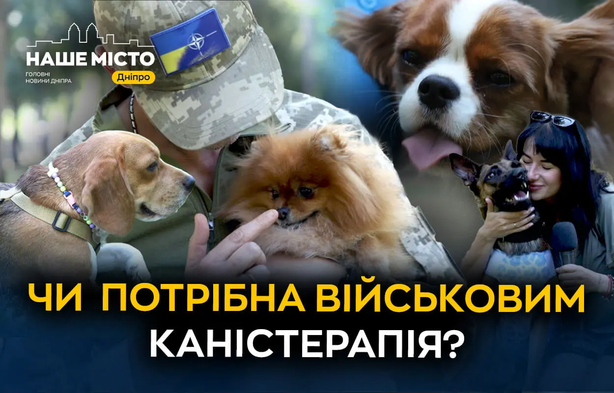 Чотирилапі лікарі: як каністерапія допомагає військовим у Дніпрі