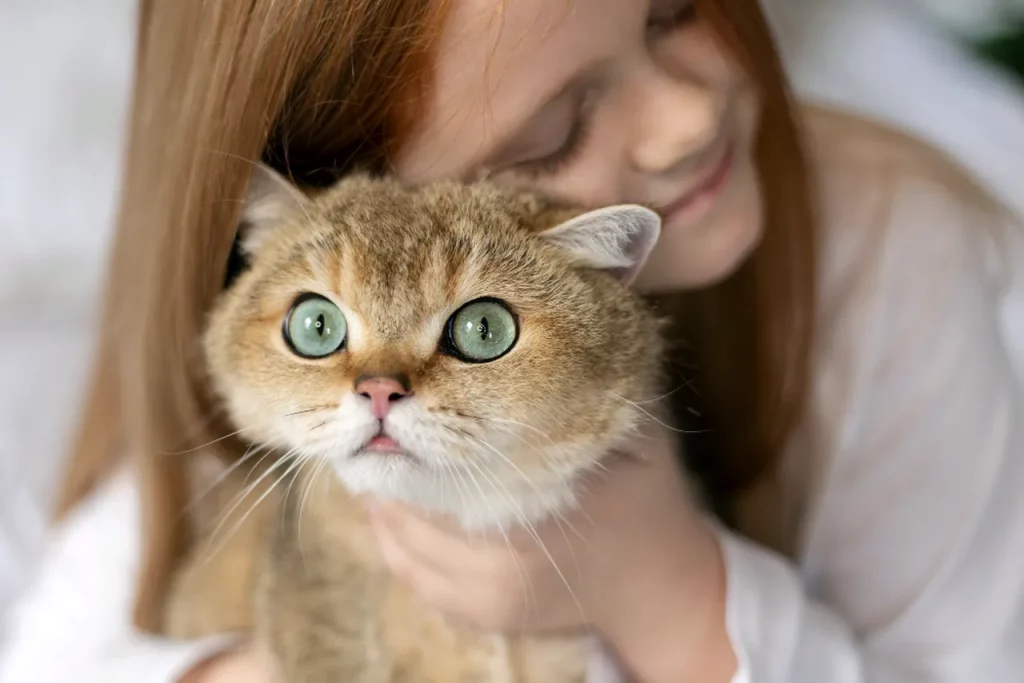 Одеський гумор: котяче кохання та думки про сирочок