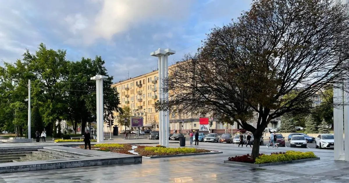 У Харкові саджатимуть інші дерева. Як зміна клімату впливає на міські парки
