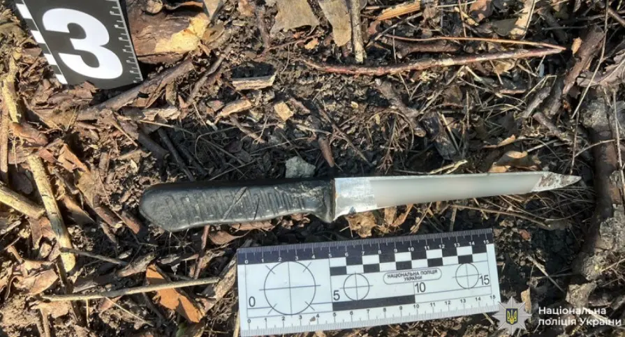 Під час суперечки в лісі жінка вдарила ножем в легеню знайомого на Вінниччині