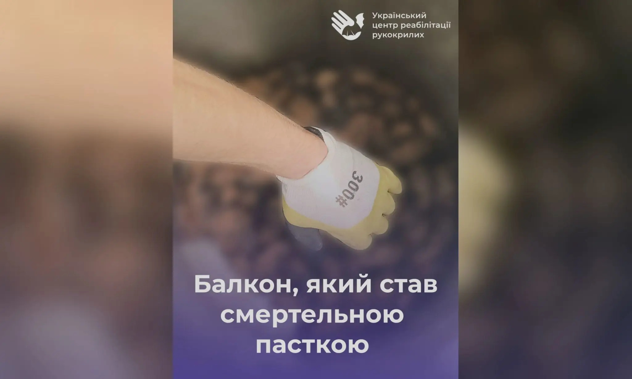 Балкон у Харкові став пасткою для зграї кажанів: загинули близько 80
