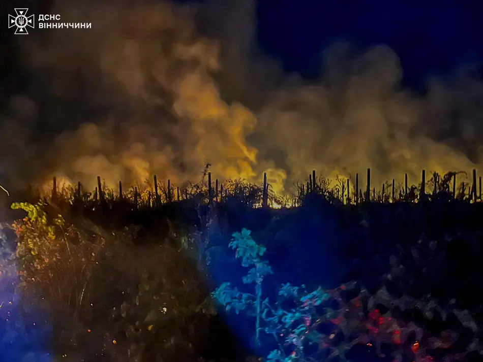 На Вінниччині за добу виникло 18 пожеж, горів легковик