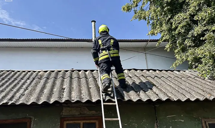 Рятувальники вивільнили  пухнастика з ринви водостоку у Сторожинці