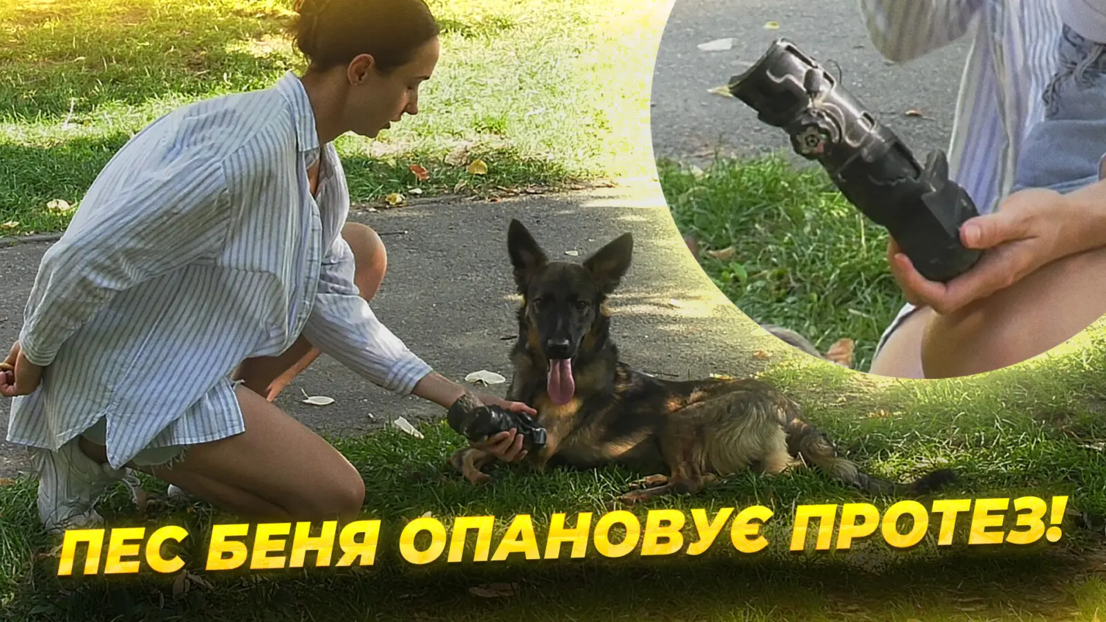 У Дніпрі жінка врятувала цуценя без передніх лап і шукає для нього родину