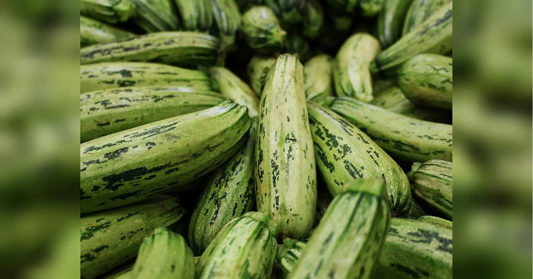 Заморожуємо кабачки на зиму: як не зіпсувати продукт