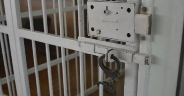 Буковинця засудили до 8 років тюрми за підтримку агресії Росії