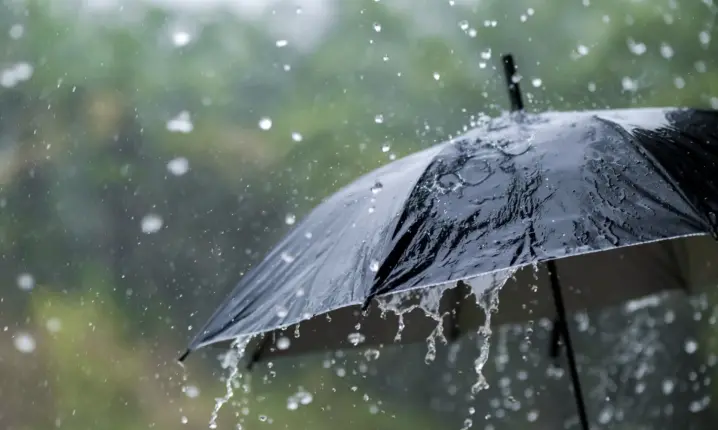 Погода на Буковині: дощ, гроза та температура до 25°C