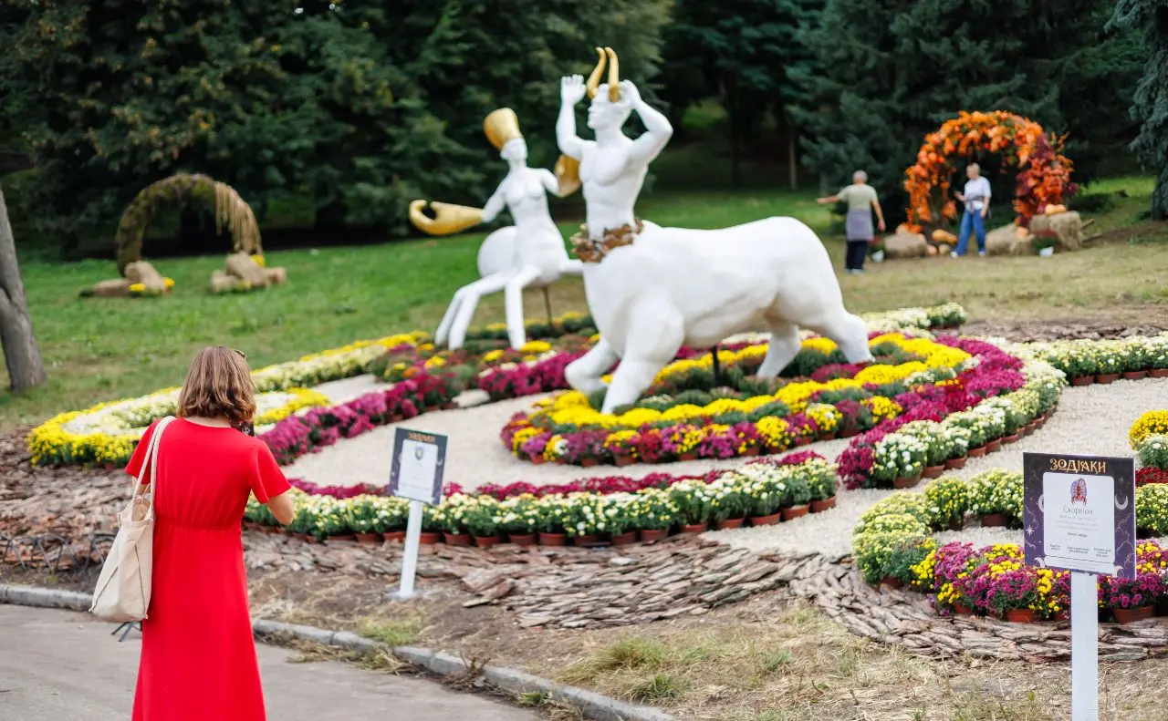 «Знаки зодіаку» з хризантем: на Співочому стартувала масштабна квіткова виставка
