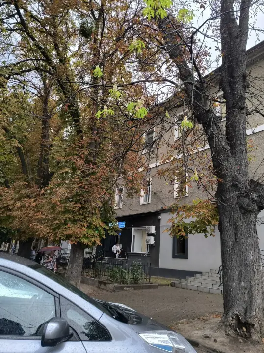 У Чернівцях восени зацвіли каштани
