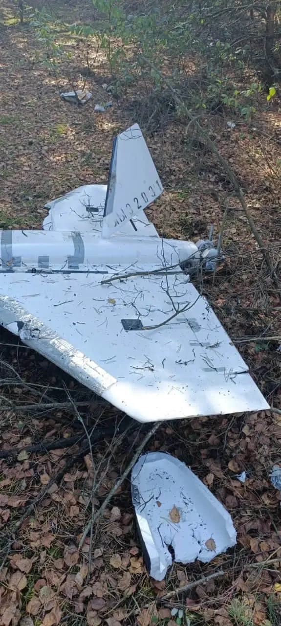 У Польщі знайшли уламки вже 15 російських дронів