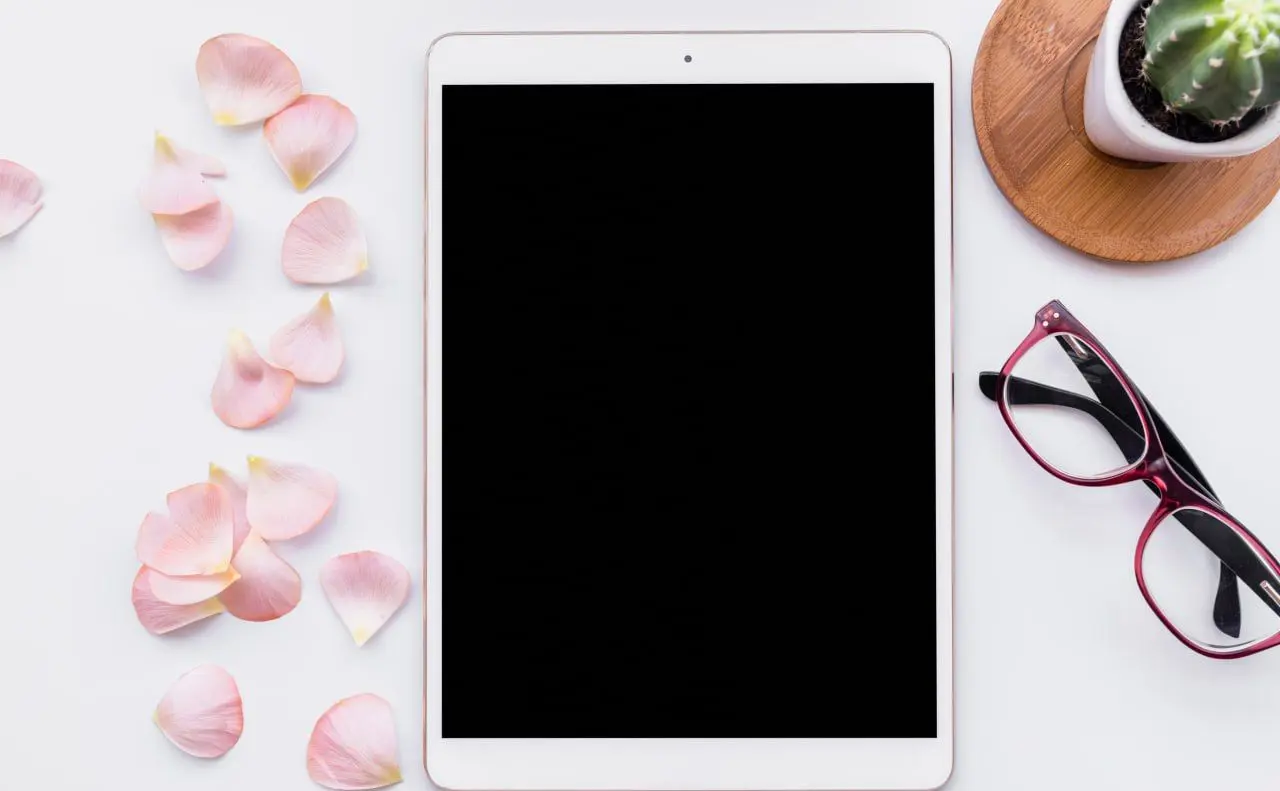 5 переваг iPad mini