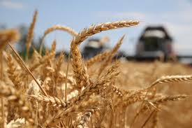 Французька міністерка назвала українські продукти, які "дестабілізували ринок" Франції