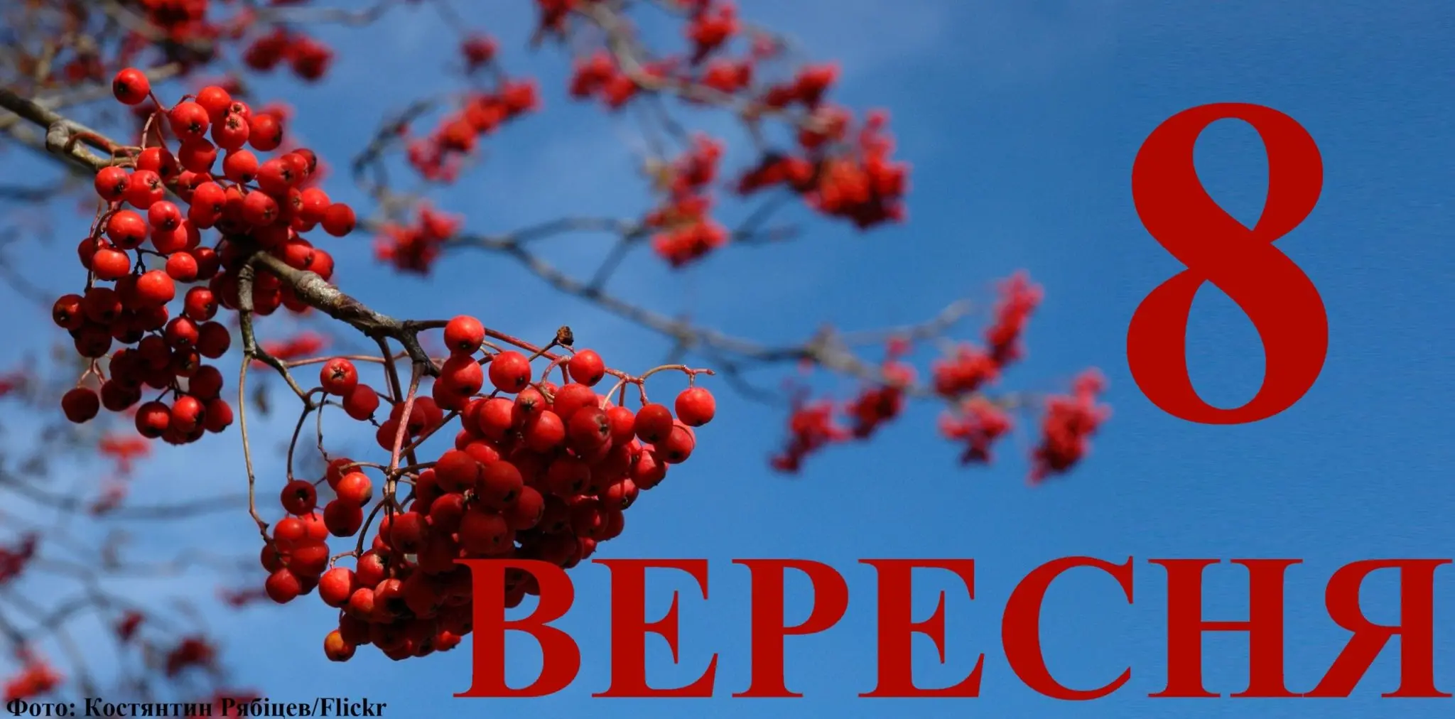Сьогодні 8 вересня: яке свято та день в історії
