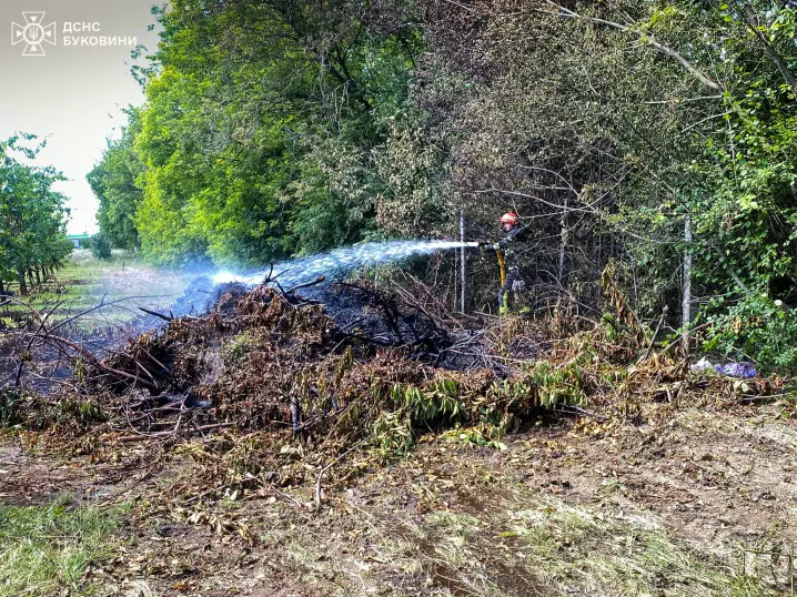 Пожежа на Буковині: необережне поводження з вогнем