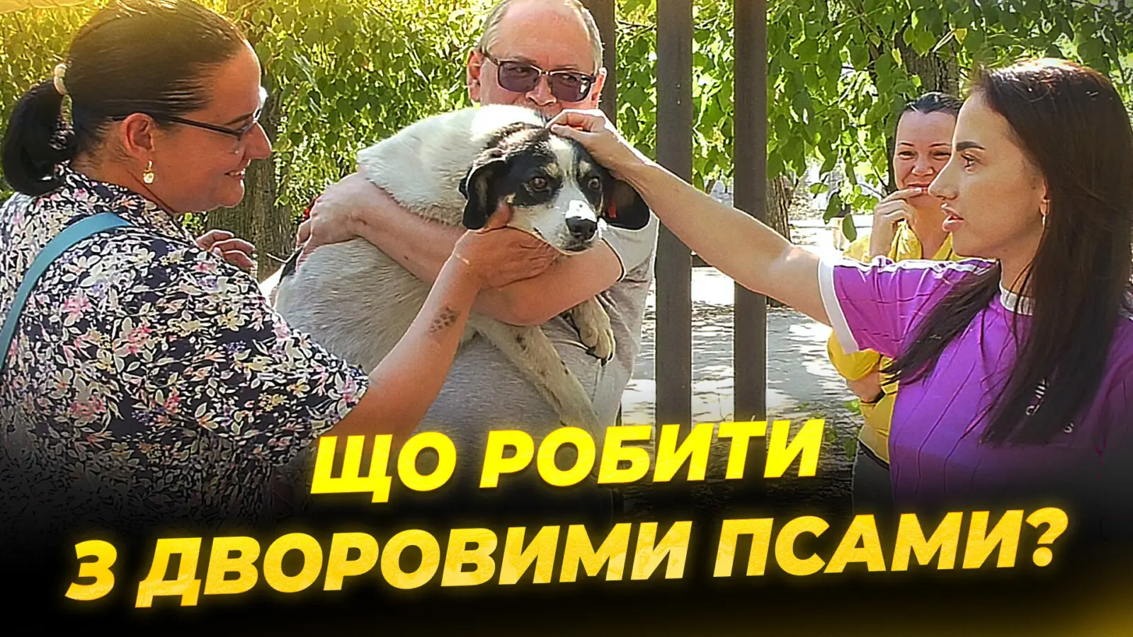 У Дніпрі на вул. Осінній стався конфлікт між мешканцями через безпритульних тварин