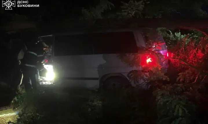 ДТП на Буковині: Mercedes-Benz врізався у дерево