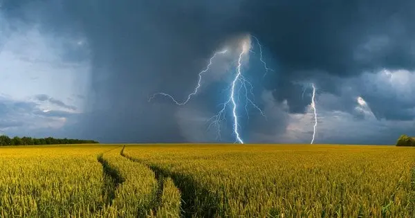 На Тернопільщині оголосили штормове попередження