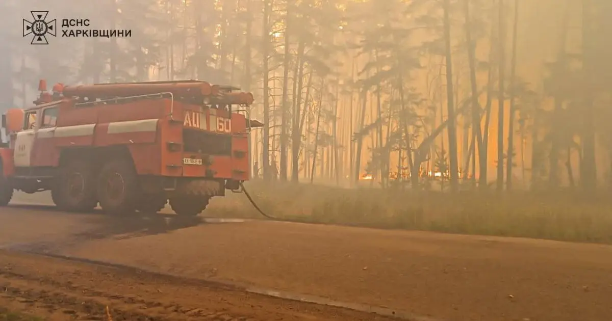 На Харківщині горять ліси та поля з пшеницею