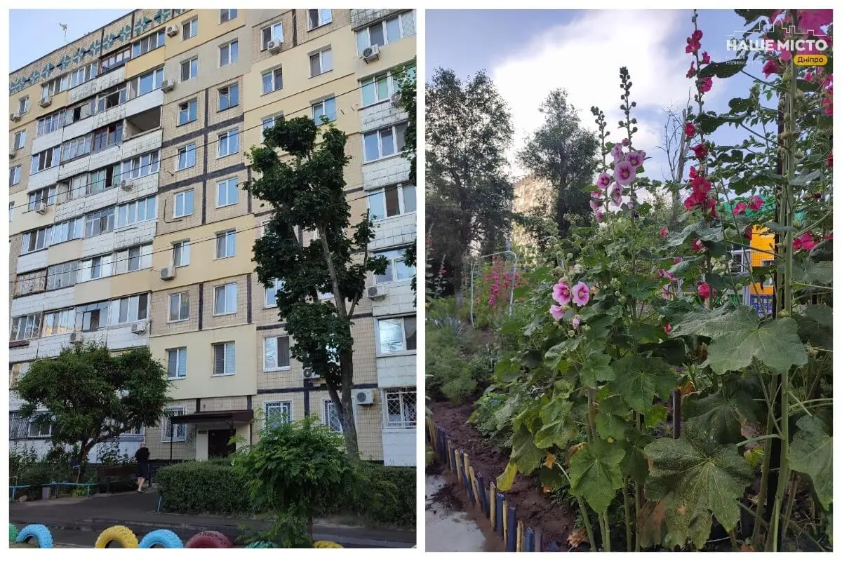 Мальви серед багатоповерхівок: як у Дніпрі розцвів двір на Покровському