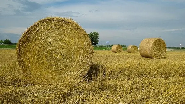 Погода в Україні: різке похолодання після спеки