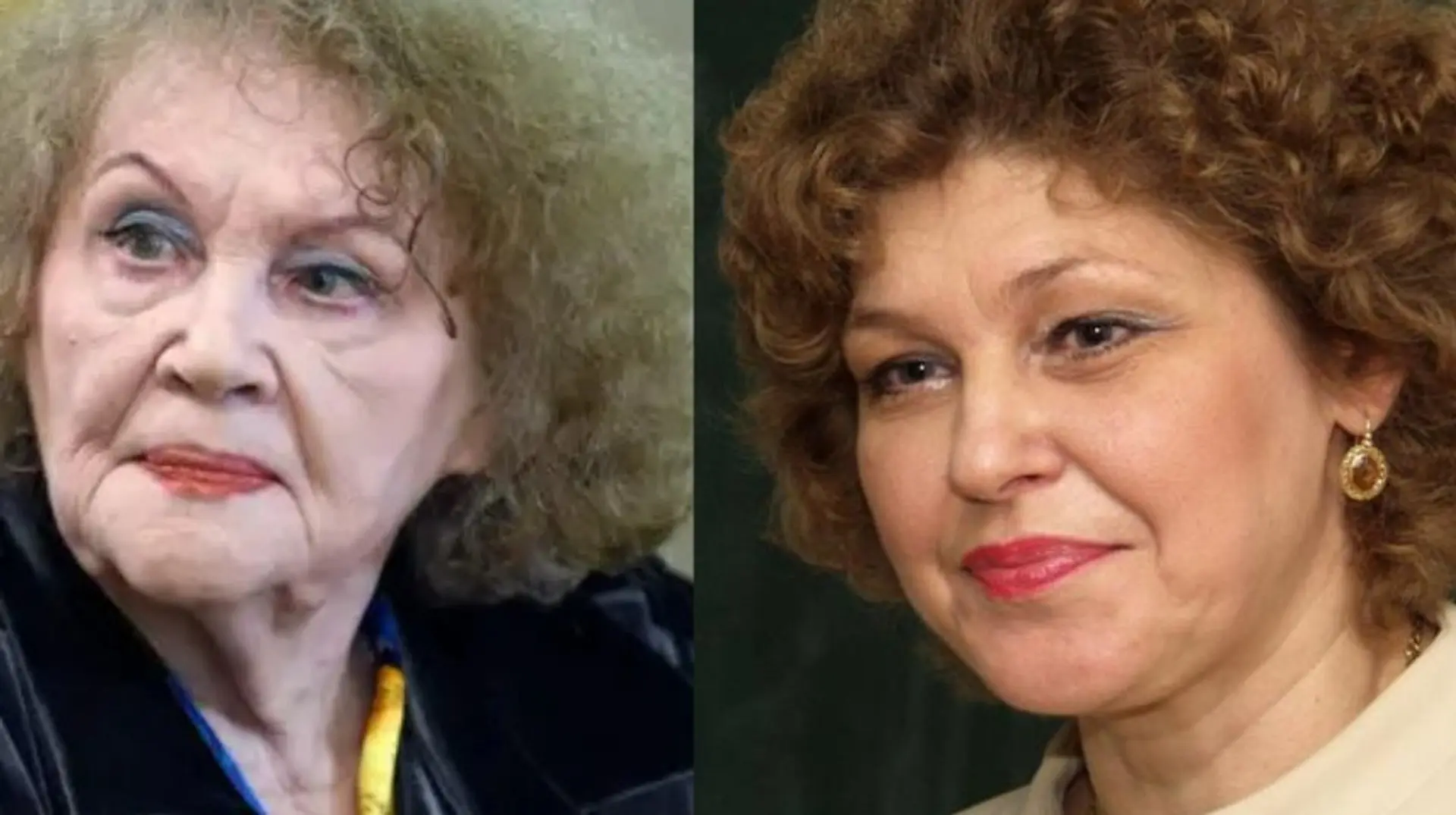 Ліна Костенко з донькою підтримали кандидатуру Кременя на повторне обрання мовним омбудсменом