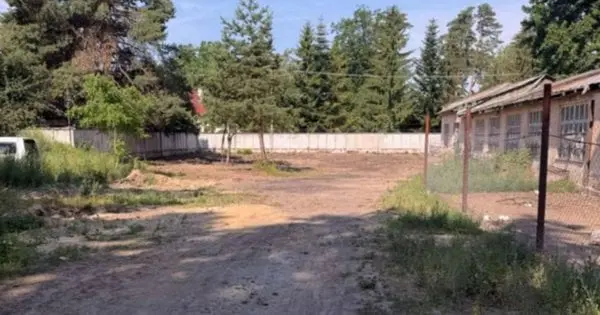 Після скарг мешканців свиней вивезли із житлової зони Брюховичів