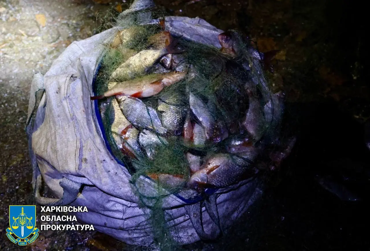 Риби на 750 тис. грн виловив за раз браконьєр на Харківщині: що він упіймав
