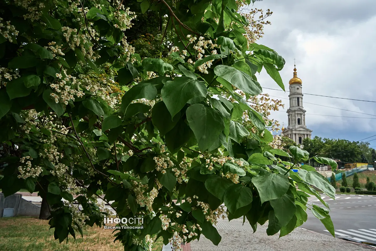 Новини Харкова — головне за 16 червня: як минула ніч