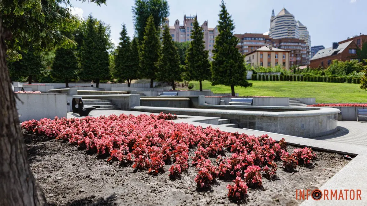 У Дніпрі в парку Шевченка розквітли бегонії: де шукати