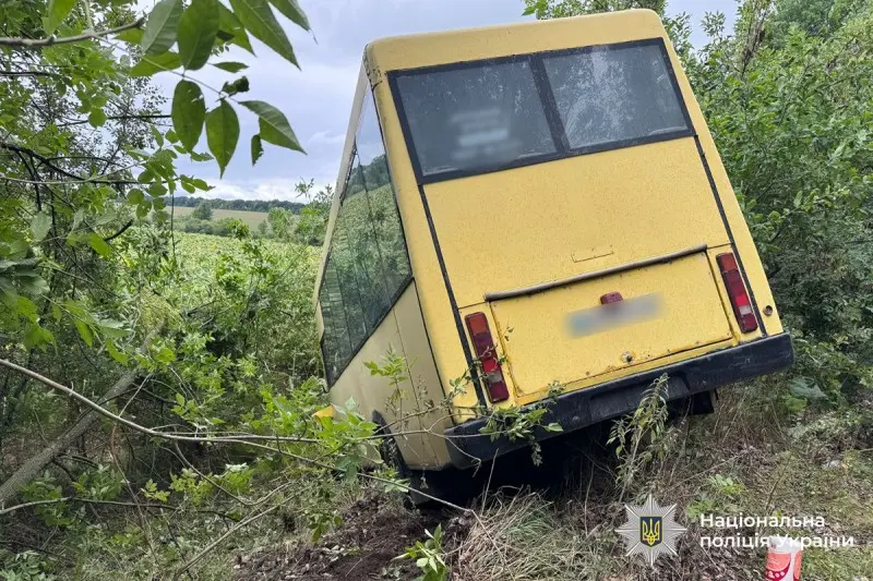 На Вінниччині автобус злетів у кювет, відомо про п’ятьох постраждалих пасажирів