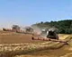 Данські інвестори купують агрофірму на заході України
