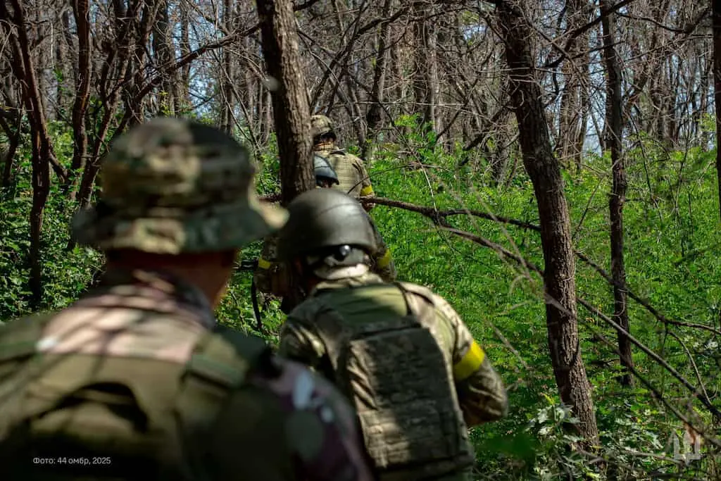 ЗСУ стримують наступ на сході та мають успіх на Запоріжжі