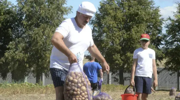 У Білорусі магазини каратимуть за відсутність картоплі