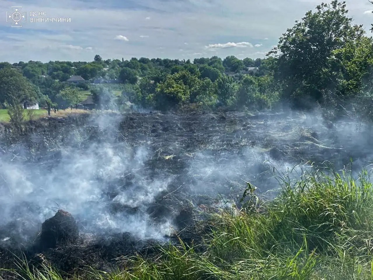 Понад 2,5 га вогню: пожежі гасили рятувальники із трьох громад Вінницької області