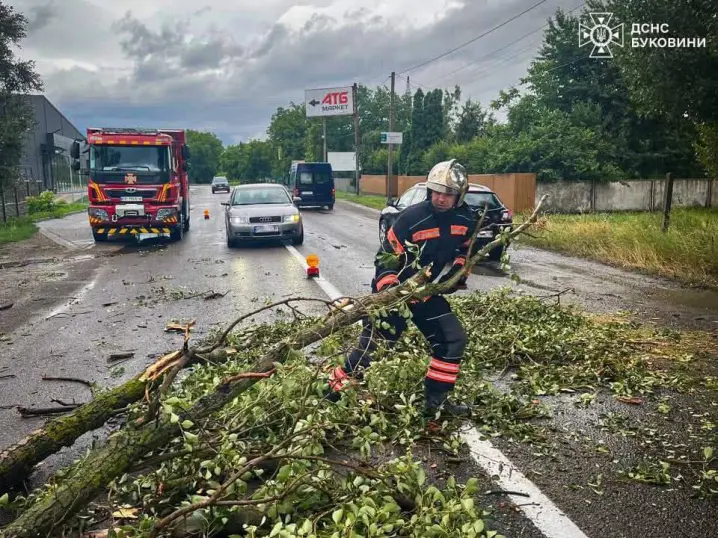 Рятувальники продемонстрували як усувають наслідки негоди на Буковині