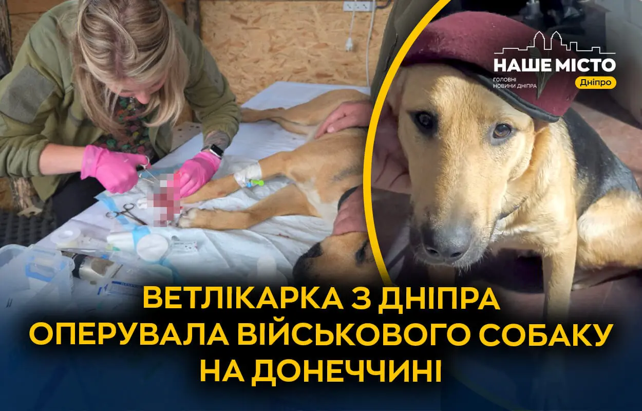 Ветлікарка з Дніпра, ризикуючи безпекою, поїхала оперувати військового собаку на Донеччину