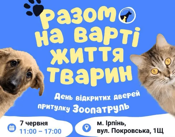 «Зоопатруль» запрошує всіх охочих познайомитися з котиками та песиками, які шукають дім