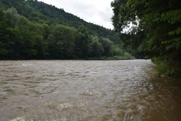 Топ-10 річок Карпат, які варто відвідати літом