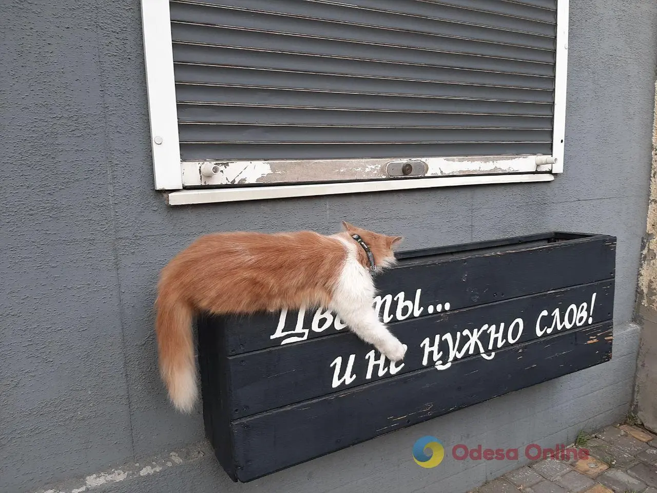 Синоптики дали прогноз погоди на 2 липня в Одесі та області