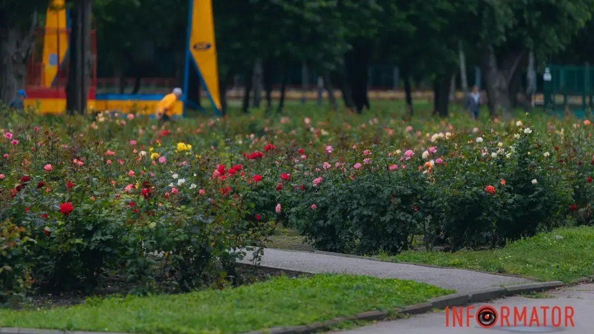У Дніпрі 27 липня цілий день буде хмарно