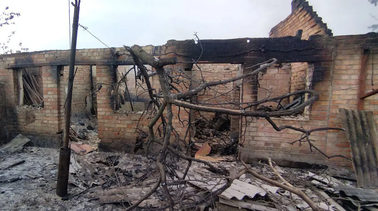 Росіяни поцілили дронами по Дніпропетровщині: загинула худоба, 2 постраждалих