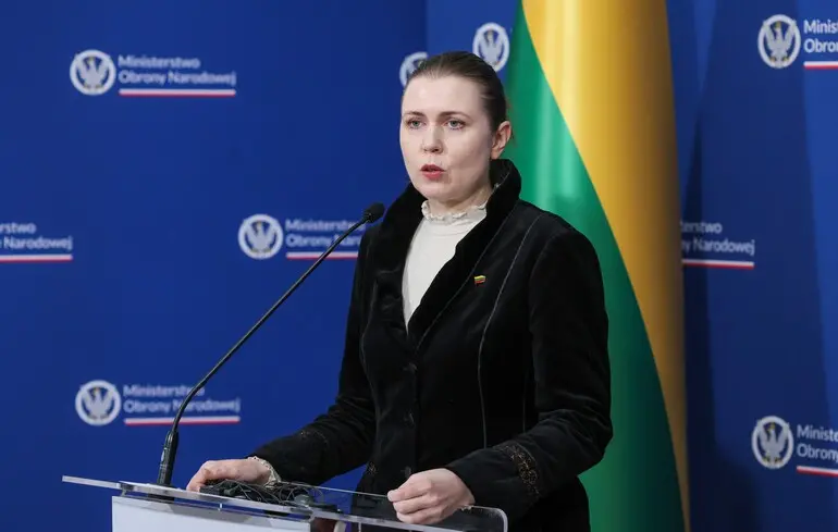 В Литві назвали атаки українських дронів на авіабази Росії "хорошими новинами"