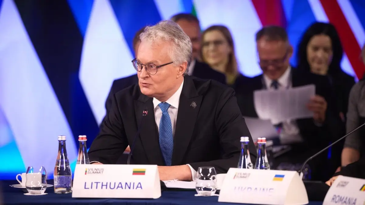 Саміт у Гаазі також має надіслати чіткий сигнал про підтримку НАТО України - Науседа
